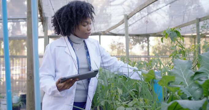 Mid-adult African woman in nursery seeing cylinder inspecting beds tuning PVC and noting on tablet