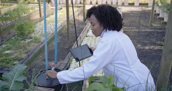 African American woman in lab coat reading tablet tuning valve checking leaf for water, copy space
