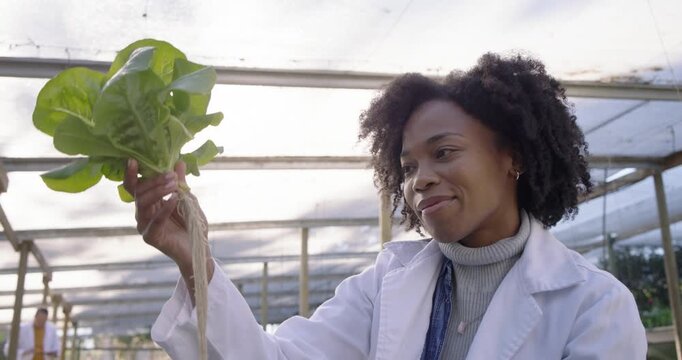After harvest woman in lab coat lifting rooted plant checking health in greenhouse, copy space