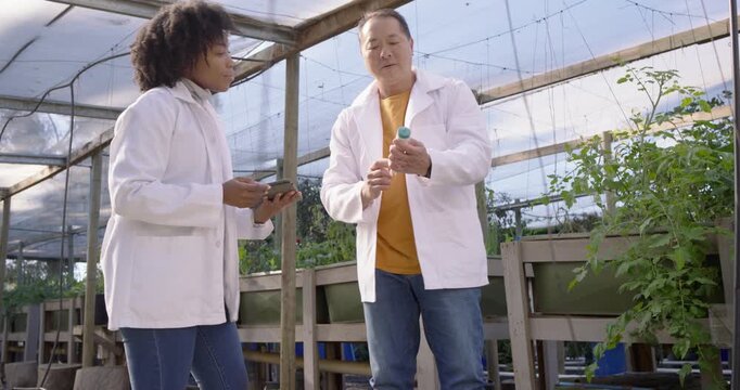 Diverse senior male guiding female checking greenhouse pipes holding bottle, noting tablet data