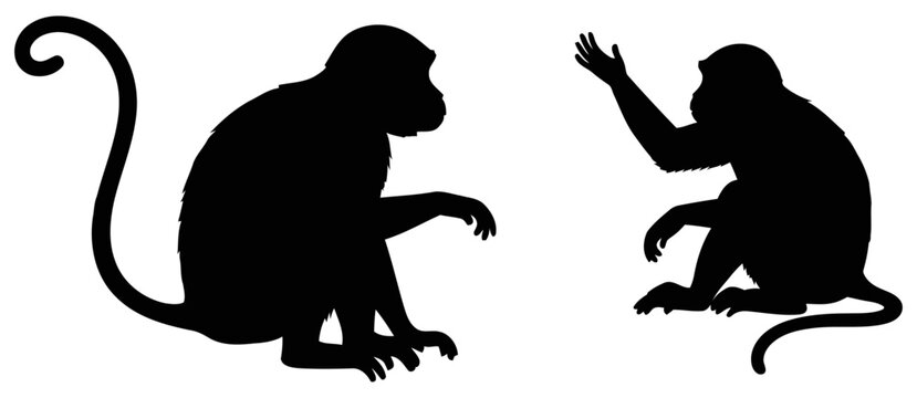 Two monkey silhouettes on white background
