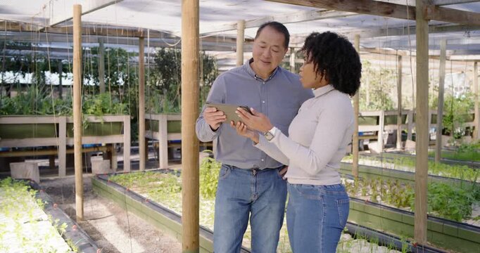 Diverse coworkers in greenhouse reviewing tablet showing crop data, gesturing and inspecting plants