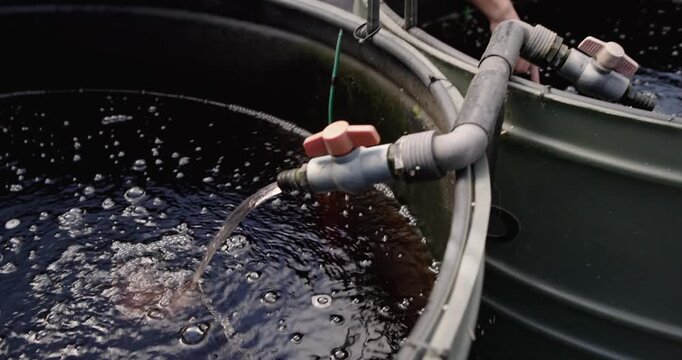 Diverse staff senior man adjusting valve woman testing tank hose pouring checking air in greenhouse