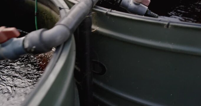 Valve being opened is sending thin stream into round tank, dispersing pellets as orange fish feed