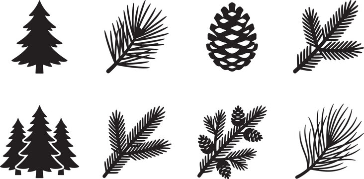 Set of black pine tree and conifer branch silhouettes for winter forest design and nature graphics