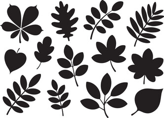 Obraz premium A beautiful assortment of autumn leaf silhouettes representing various tree species and seasonal changes