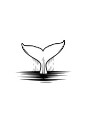 Whale tail fin diving into water, simple line art, minimal design, ocean mammal © illustration