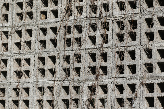 Grey cement ventilation blocks wall covered in dry roots