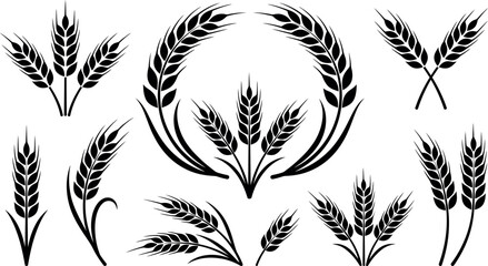 Wheat ears and barley stalks solid black silhouettes vector set. © Peru