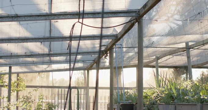 Hanging rope and dark cord are swaying as camera is pulling back, showing nursery layout
