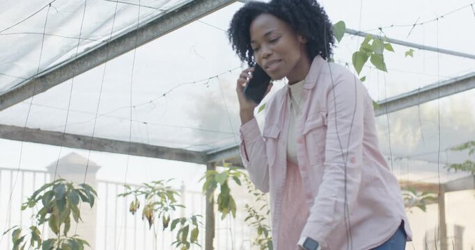 African American woman taking phone call, moving and kneeling, tending seedlings in nursery