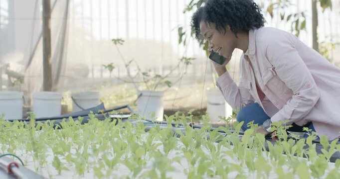 African American woman receiving call kneeling, monitoring seedlings, irrigation hose in greenhouse