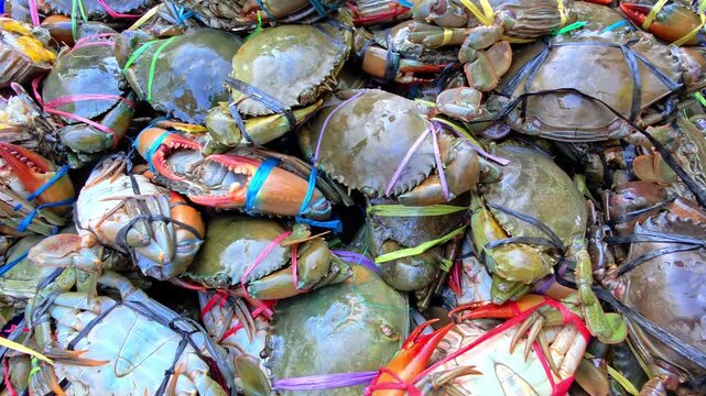 Close-up of live mud crabs stacked at a traditional fish market with vibrant natural colors. Ideal for seafood industry, coastal lifestyle, restaurant, and food photography themes. 4K