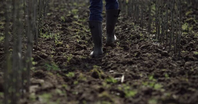 A person wearing rubber boots walking through a freshly plowed field in a plantation