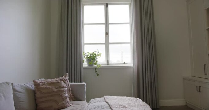Window with potted trailing plant is moving in as camera is shifting upward, revealing curtains