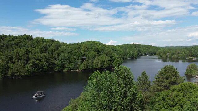 Un ponton au milieu d'un lac, dans les bois. Vue sur la rivi&egrave;re et la for&ecirc;t par une journ&eacute;e d'&eacute;t&eacute; ensoleill&eacute;e.