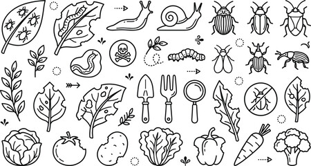 Garden pests and crop damage line art element set with agricultural insects weeds and tools vector © MdAmzad