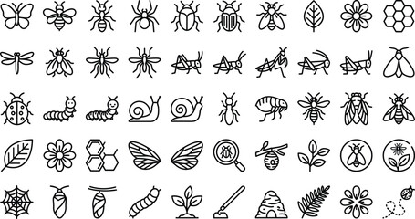 Minimalist insect line art icon set with garden bugs butterflies flowers and honeycomb elements © MdAmzad