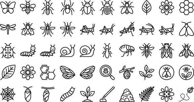 Minimalist insect line art icon set with garden bugs butterflies flowers and honeycomb elements