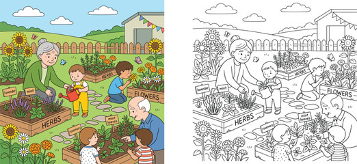 Fototapeta premium Coloring book page and colored illustration of a happy family gardening together, grandparents and grandchildren planting herbs and flowers in raised garden beds.
