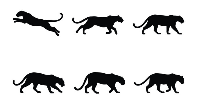 panther silhouette vector icon set, black clipart collection, Animal silhouette icons illustration graphic design. Silhouette panther in florida vector illustration design on white background.