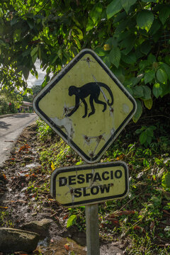 Monkey warning sign in Costa Rica