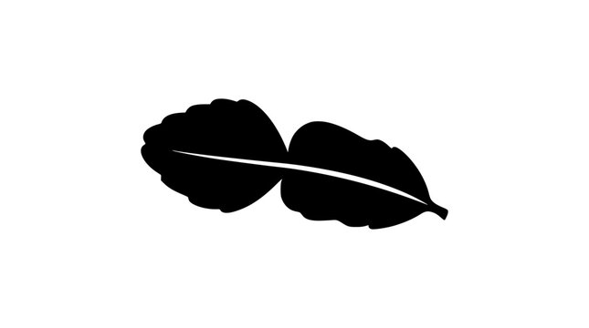 Kaffir Lime Leaf Silhouette Icon Isolated on White