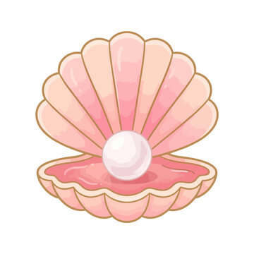 Pink scallop shell illustration