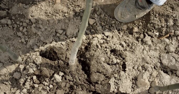 Close up of a person planting a young tree sapling in soil in a field during daytime