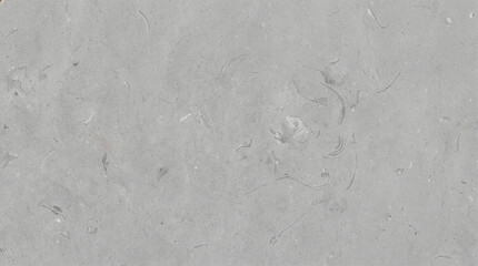 Fototapeta premium Soft Dove Gray Limestone Seamless Texture Background 