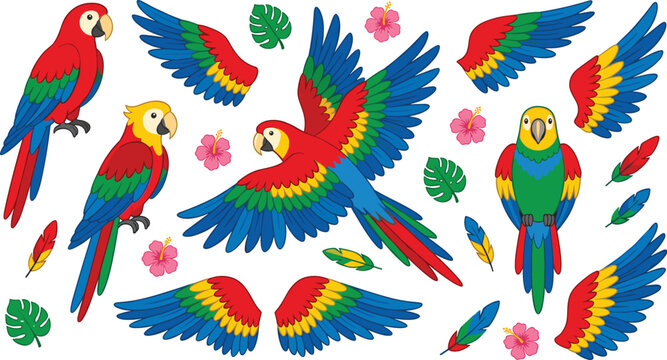 Tropical parrot clipart collection featuring colorful macaws flying wings feathers flowers and jungle bird vector illustration set