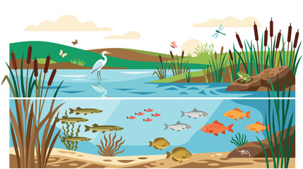 Healthy pond environment with fish, frog, and bird.