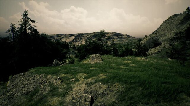 Pineframed plateau under soft sky with low rocky outcrops and lush grasses, distant rolling hills in cool palette, inviting setting for outdoor workshops,