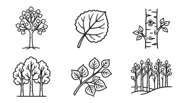 Aspen tree and birch forest line art vector set with woodland illustration collection minimalist environment botanical outdoors vegetation