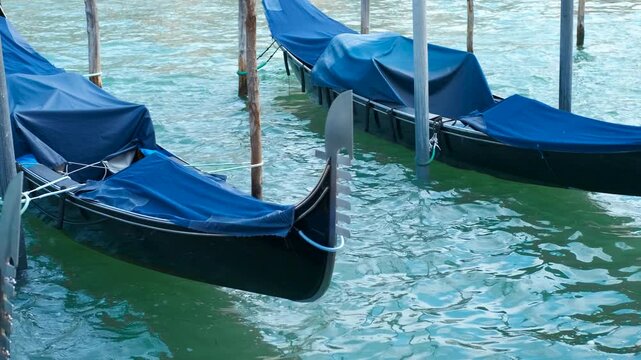 Gondolas moored in venice with blue covers swaying gently. Distinctive blue-covered black gondolas peacefully moored, gently swaying in soft lagoon waters, capturing venetian nautical romance