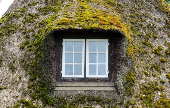 Traditional Thatched Roof House with Moss Covered Reed Roof