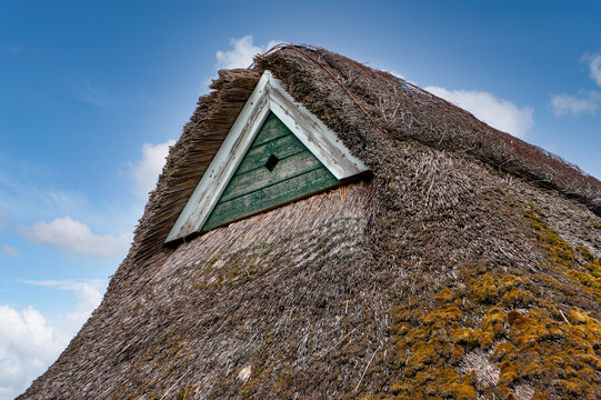 Traditional Thatched Roof House with Moss Covered Reed Roof