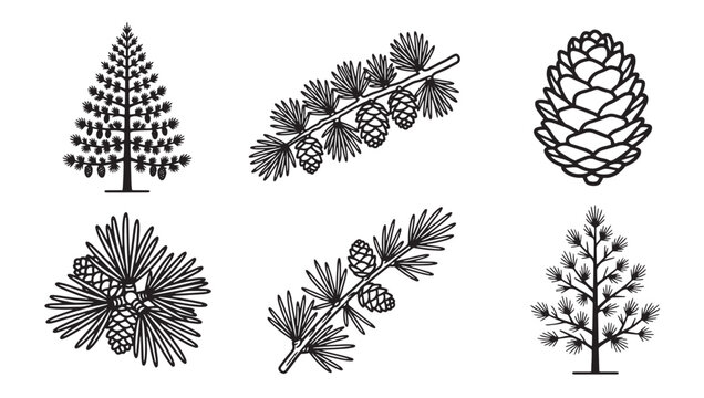 Set of hand-drawn coniferous trees and pinecones line art icons with pinecone evergreen botanical woodland illustration collection minimalist monochrome seasonal outdoors wilderness