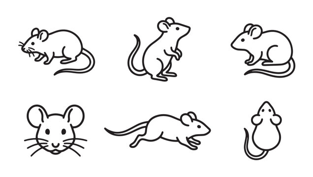 Collection of hand-drawn mouse characters in various poses with character collection illustration wildlife standing whiskers minimalist monochrome creature animalia