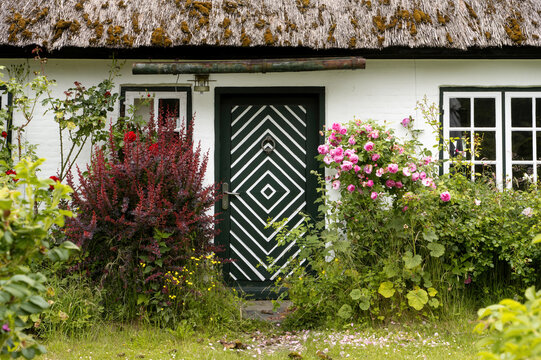Traditional Thatched Cottage Entrance with Decorative Wooden Door and Blooming Rose Garden