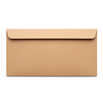 Closed blank brown kraft paper envelope