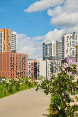 Obraz premium Modern residential complex with blooming bushes in the foreground on a sunny day. Urban landscape.
