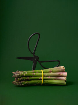 Fresh asparagus bundle with scissors