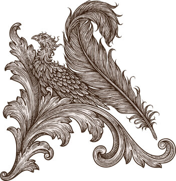A mythical phoenix feather seamlessly integrates with an ornate baroque acanthus scroll, adorned with intricate etching lines against a clean monochrome vector background