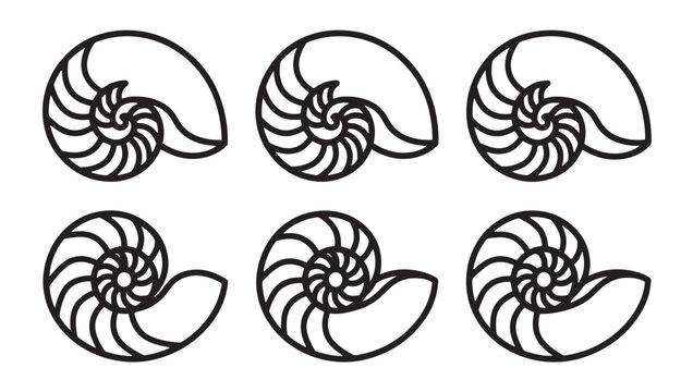 Set of nautilus shell marine mollusk vector icons with sea life nature study marine biology nautilus shellfish nautical illustration monochrome underwater creature collection decorative