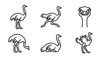 Obraz premium Collection of hand drawn ostrich illustrations in black and white style with wildlife flightless collection minimalist monochrome illustration isolated creature avifauna standing behavior