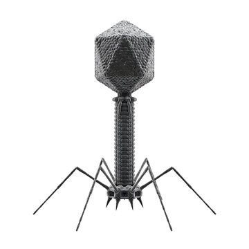 Bacteriophage T2 Virus Isolated on Transparent Background
