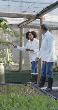 Vertical video: Greenhouse coworkers spotting tree checking beds logging on tablet checking barrels