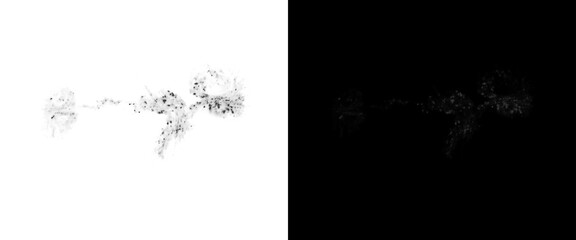 Ethereal white smoke wisps on black background, abstract swirling steam vapor, mystical cigarette smoke trails for overlay and design © Transparent Studio