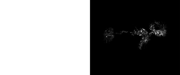 Obraz premium Abstract white smoke trail on black background, ethereal steam wisps and vapor clouds, cinematic smoke texture for overlay and design
